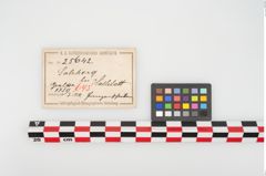 Etikett zu Bronzephalere (NHMW-PRAE-025642)